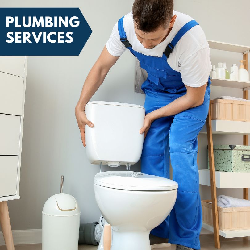 Plumbing Company in Cantrall, IL